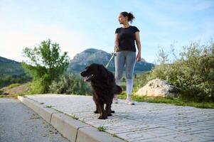 seletivo foco em uma de raça pura pedigree Preto Cocker spaniel cachorro animal ser caminhou em trela ao ar livre, contra montanhas natureza fundo foto