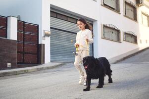 cheio comprimento autêntico retrato do a adorável caucasiano criança menina dentro branco Esportes vestir, sorridente desfrutando uma andar com dela fofa companheiro bicho de estimação, uma Preto de raça pura Cocker spaniel cachorro dentro a cidade rua foto