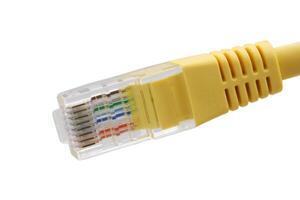 amarelo rede cabos com moldado rj45 plugue isolado em branco fundo foto