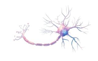 isolado biologia nervo célula, 3d Renderização. foto