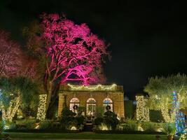 luzes com diferente cores projetado em árvores às noite dentro uma histórico jardim dentro san francisco Califórnia foto