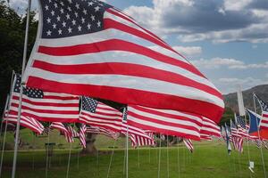 americano bandeiras exibido dentro aberto campo, Califórnia costa inspirações foto