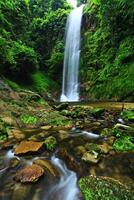 lindo montanhas e papai cascata natural atrações às tai ROM iene nacional parque dentro Surat então eu, Tailândia foto