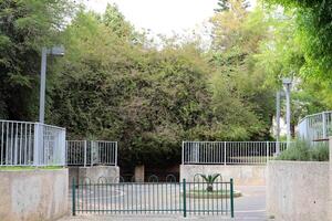 verde plantas e flores crescer ao longo uma cerca dentro uma cidade parque. foto