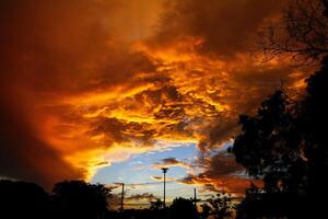 laranja ou amarelo céu e nuvens em Novo alvorecer dia dentro cedo manhã com silhueta do árvore e eletricidade postar para fundo. beleza do natureza e arte papel de parede conceito foto