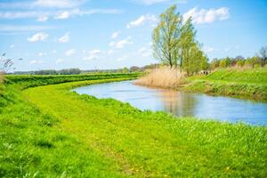 natureza com a canais dentro a Países Baixos às a município lado perto diepenheim Vila, Holanda. Alto qualidade foto