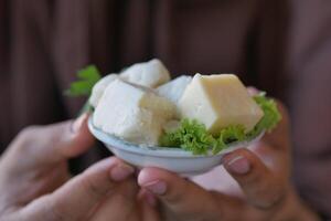 Comida prato do queijo cubos e alface em xadrez toalha de mesa foto