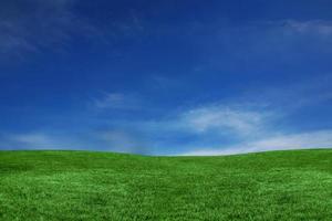 céu azul e paisagem de grama verde foto