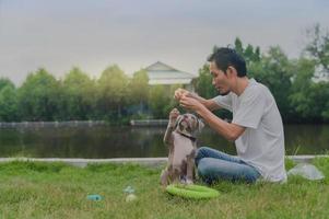 super pai brincando com cachorrinho engraçado valentão americano foto