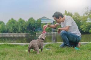 treinador de cães está treinando cachorro valentão foto