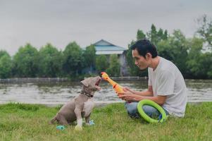 homem brincando com cachorrinho valentão americano foto