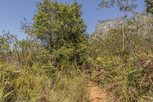trilha para caminhadas e parque nacional de tablemoutain vista para a montanha, cidade do cabo. foto