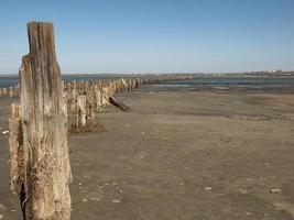 postes de amarração de madeira na areia contra o estuário e o céu azul. estuário kuyalnitsky foto