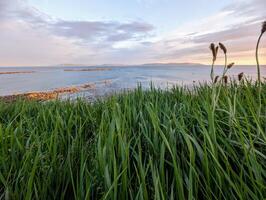 lindo costeiro pôr do sol panorama cenário do selvagem atlântico caminho às Silverstrand praia, galway, Irlanda, natureza fundo, papel de parede foto