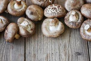 cogumelos shiitake - cogumelos frescos no fundo da mesa de madeira