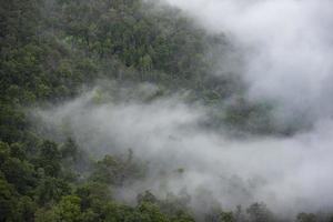 névoa matinal nebulosa no belo vale na Tailândia asiática - paisagem nebulosa com neblina da montanha e vista para a árvore da floresta no topo foto