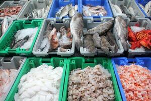 frutos do mar é vendido às uma bazar dentro Israel. foto