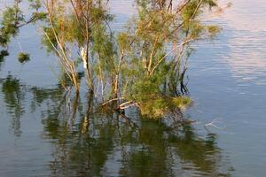 lago Kineret. a do lago litoral é a mais baixo massa de terra em terra foto