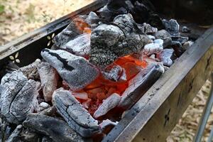 uma fogo este queimaduras tudo este queimaduras. foto