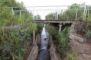 ein afek natureza reserva dentro norte Israel. pantanal com a abundância do animais e acessível trilhas foto