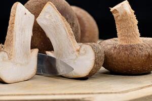 shiitake cogumelos em corte borda sobre Sombrio fundo foto