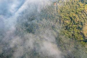 Toscana a partir de acima. vinho e Oliva campo com névoa em volta. zangão tiro foto