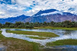 Nubra vale, ladakh, Índia foto