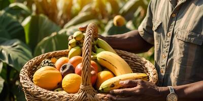 agricultores mãos segurando uma cesta do tropical frutas foto