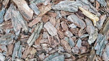 textura de fundo casca de árvore decorativa. montanha da velha casca de árvore cortada close-up. chão de terra coberto com fragmento de adubo vegetal de fragmentos de casca de árvore foto