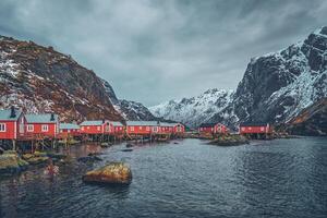 Nusfjord pescaria Vila dentro Noruega foto