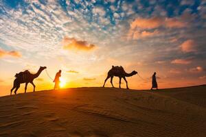 indiano cameleiros camelo motorista com camelo silhuetas dentro dunas em pôr do sol. jaisalmer, rajastão, Índia foto