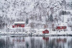 rd rorbu casas dentro Noruega dentro inverno foto
