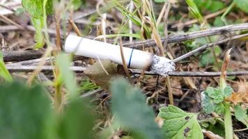 cigarro acidentalmente jogado na grama seca. bituca de cigarro jogada em um prado verde, poluindo a natureza e o meio ambiente foto