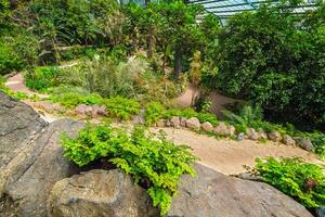 a frio casa estufa fria é uma estufa com jardins, lagoas, plantas e árvores dentro Lisboa, Portugal foto