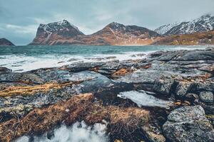 rochoso costa do fiorde dentro Noruega foto