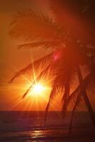 tropical pôr do sol cena com Palmeiras foto