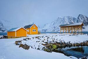 rorbu casa e secagem flocos para bacalhau bacalhau peixe dentro inverno. lofoten ilhas, Noruega foto