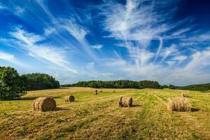 verão panorama com feno fardos em campo foto