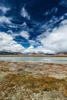 tso carro flutuante sal lago dentro Himalaia foto