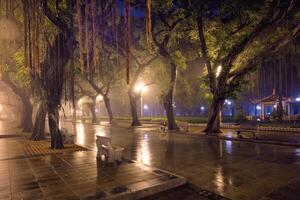 Guangzhou povos parque com névoa às noite, China foto