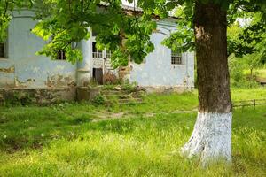 abandonado rural casa dentro a república do Moldávia, Vila vida dentro Oriental Europa foto