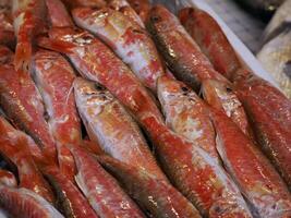 vermelho salmonete fresco peixe frutos do mar às Ortigia Siracusa Sicília peixe mercado Itália foto