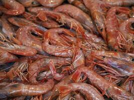 camarão vermelho camarão fresco peixe frutos do mar às Ortigia Siracusa Sicília peixe mercado Itália foto