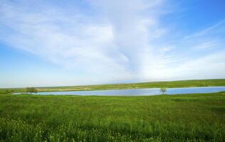 pequeno lago dentro Primavera estepe foto