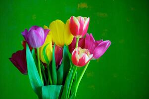 florescendo tulipas dentro uma vaso. colorida flores foto