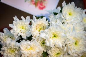 dois Casamento argolas em uma natural fundo foto