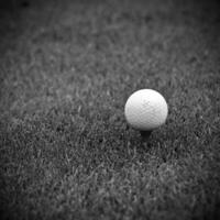 jogos dentro a golfe clube contra a fundo do a verde suculento Relva foto