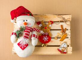 feliz boneco de neve com tradicional Natal especiarias foto
