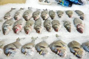 fresco peixe em gelo decorado para venda às mercado foto