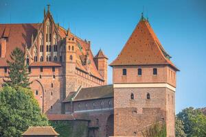 malbork castelo dentro Polônia medieval fortaleza construído de a teutônico cavaleiros ordem foto